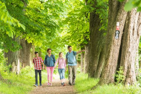 Familie wandert durch einen Wald auf dem neanderland STEIG und sichtet Baum mit Wegmarkierungen