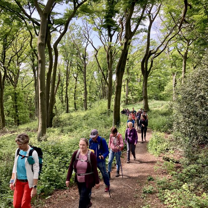 Wandernde auf Tour mit Michael Jendrysek
