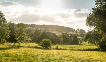 alte sonnenangestrahlte Scheunen auf Wiesen mit Bäumen in der Elfringhauser Schweiz bei Velbert