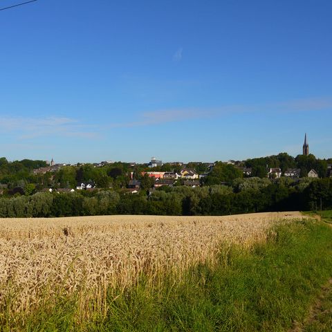 Weids uitzicht op Heiligenhaus met een graanveld op de voorgrond