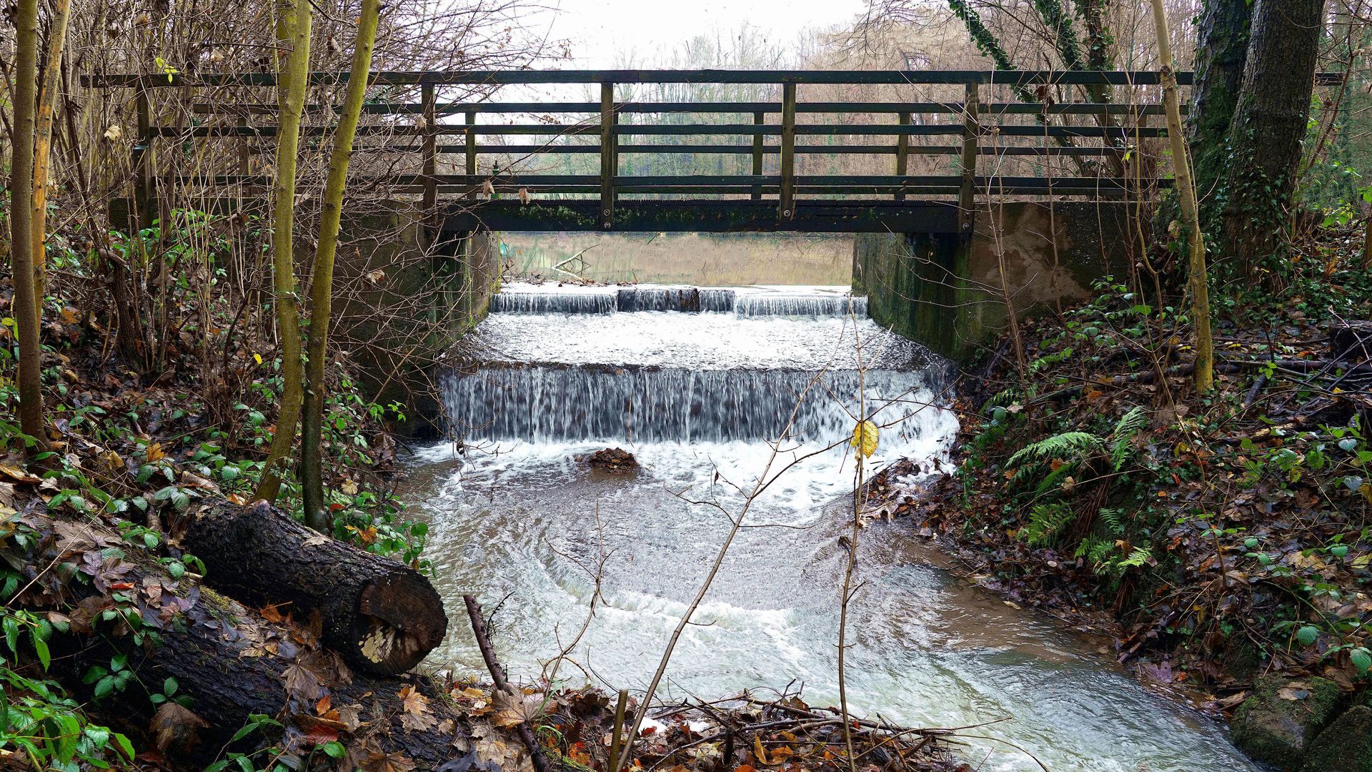 zwei Wasserstufen des Mettmanner Baches mit Brücke im Herbst