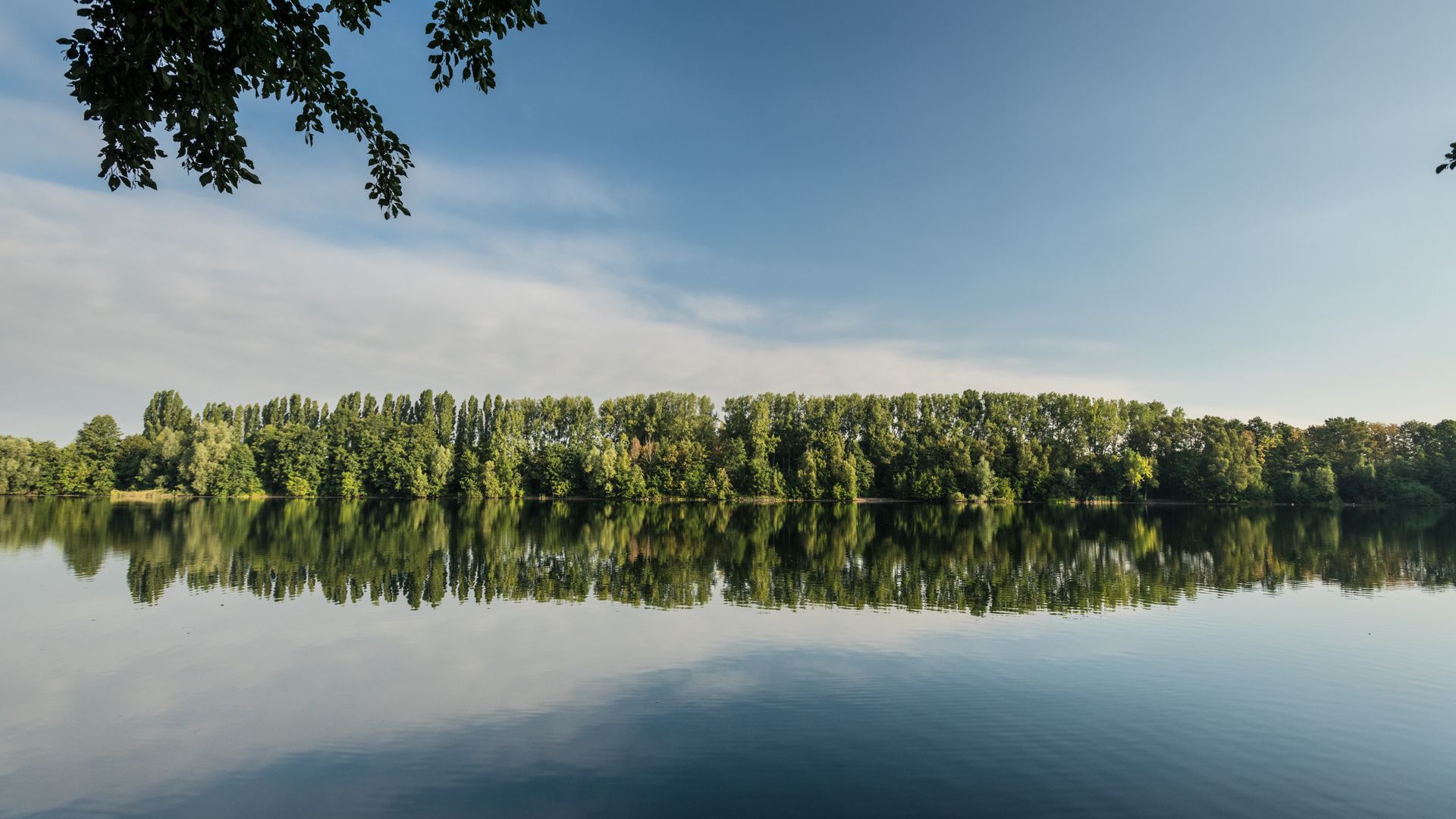 Menzelsee im Vordergrund mit Frontalblick auf Baumreihe im Hintergrund 