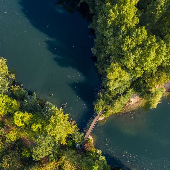 Blick auf den Menzelsee aus Hilden mit Holzbrücke und Bäuemen aus Vogelperspektive