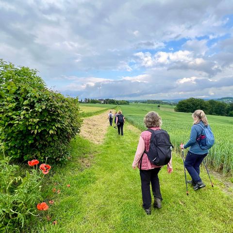 Wanderung mit Tourguide Michael Jendrysek