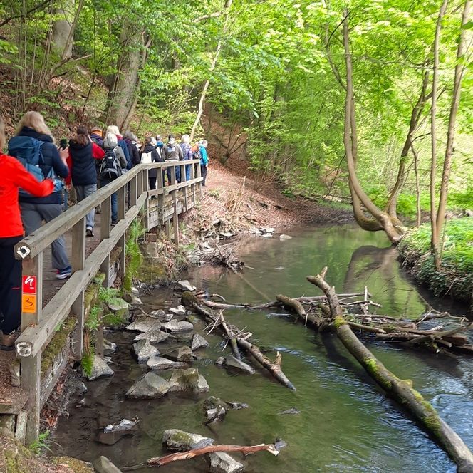 Foto von Wandernden auf einer Brücke mit einem Fluss nebendran auf der Tour "Auf den Spuren des Kalkabbaus durch idyllische Natur" von Norbert Krüger