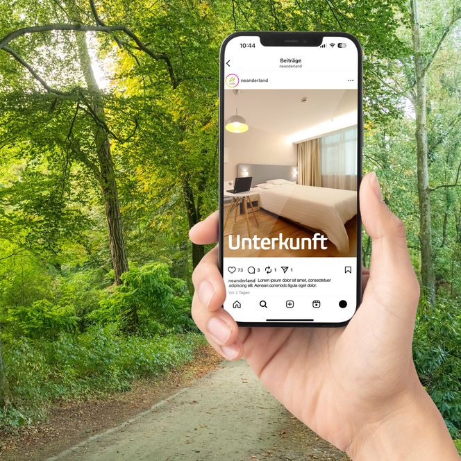 Smartphone mit einem Instagram-Post für einen Beherbergungsbetrieb eine Hand hält ein Handy, auf dem ein Instagram-Post zu sehen ist, der ein Bild von einem Hotelzimmer und dem Wort "Unterkunft" zeigt. Im Hintergrund ist ein Waldweg zu sehen.