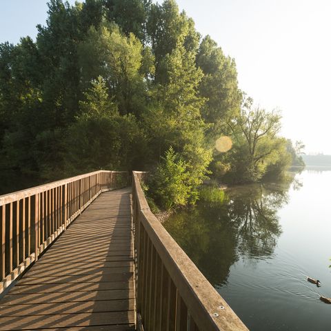 Wooden bridge over the Menzelsee in Hilden with two ducks in the lake and trees in the background