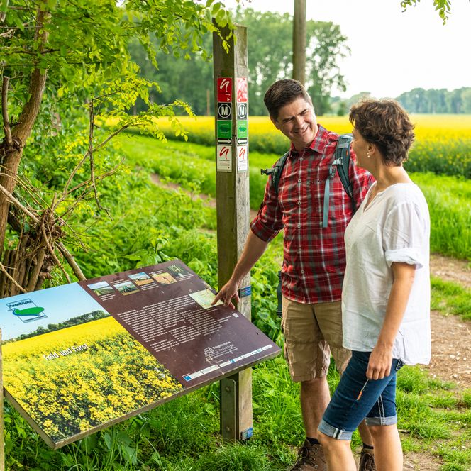Frau und Mann stehen vor einer Infotafel der Urdenbacher Kämpe in Monheim am Rhein auf dem neanderland STEIG