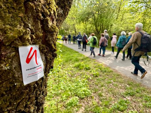 Ein Baum mit Wegemarkierung und Wandergruppe von hinten inmitten eines Waldes.