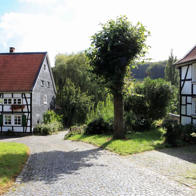 Einfahrt zum Biohof Judt mit gelben Schild im Vordergrund und Bäumen und Sträuchern im Hintergrund zwischen zwei Fachwerkhäusern im Windrather Tal in Velbert-Nordrath