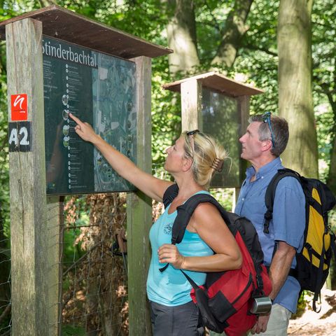 Dwóch wędrowców wskazuje na tablicę informacyjną o Stinderbachtal w Erkrath z oznaczeniami szlaków niderlandzkiego STEIG w lesie