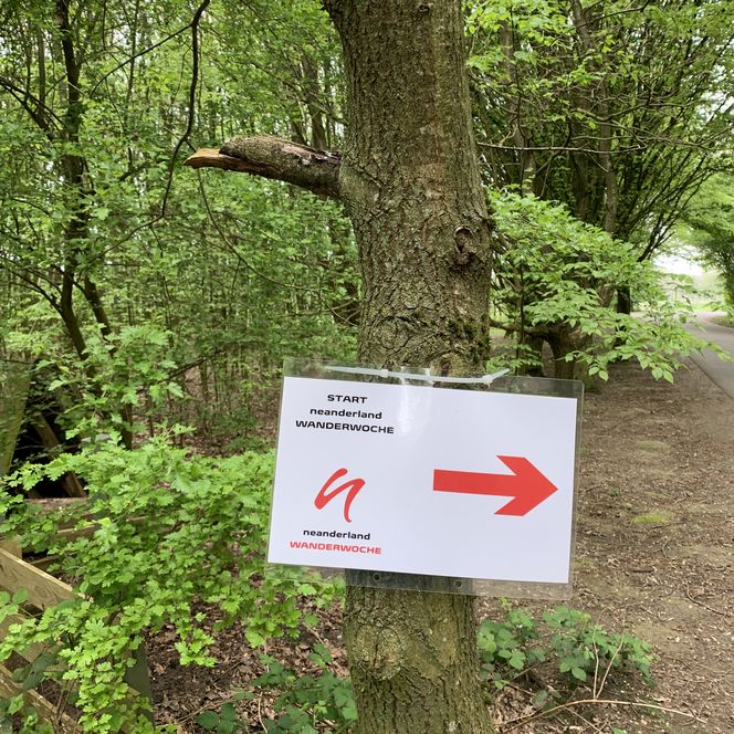 Ein Richtungshinweis mit einem Pfeil an einem Baum bei der Eröffnungswanderung der neanderland WANDERWOCHE 2026