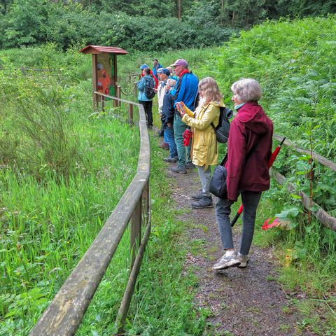 Wanderung mit Tourguide Detlef Müller