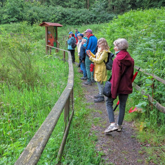 Wanderung mit Tourguide Detlef Müller
