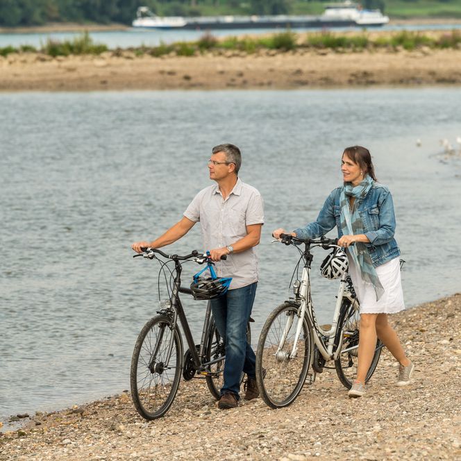 Zwei Erwachsene spazieren mit ihren beiden Fahrrädern am Rheinufer nahe des NRW-Rheinradweges