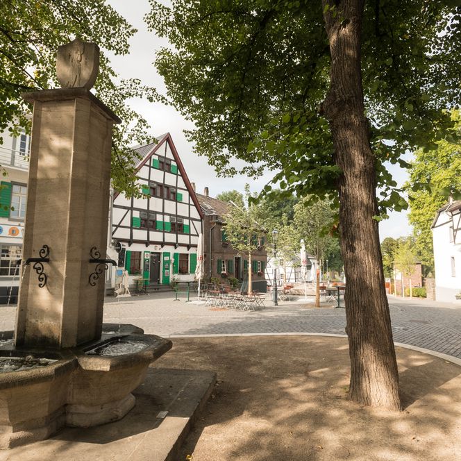 Altstadt von Monheim am Rhein mit Brunnen, Bäumen und Fachwerkhäusern im Hintergrund