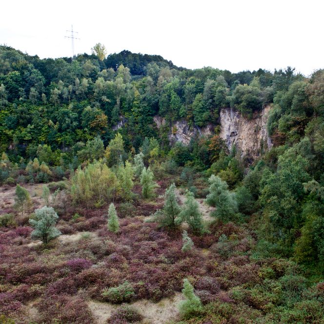 Bochumer Bruch in Wülfrath mit Bäumen in herbstlichen Farben