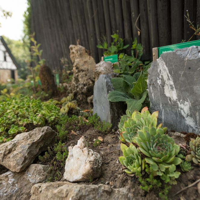 Mineralienpfad, Beet mit Steinen und Kräutern, in Haan-Gruiten