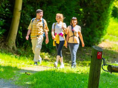 Drei Personen wandern auf dem neanderland STEIG