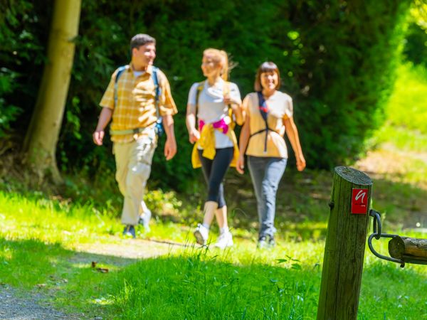 Drei Personen wandern auf dem neanderland STEIG