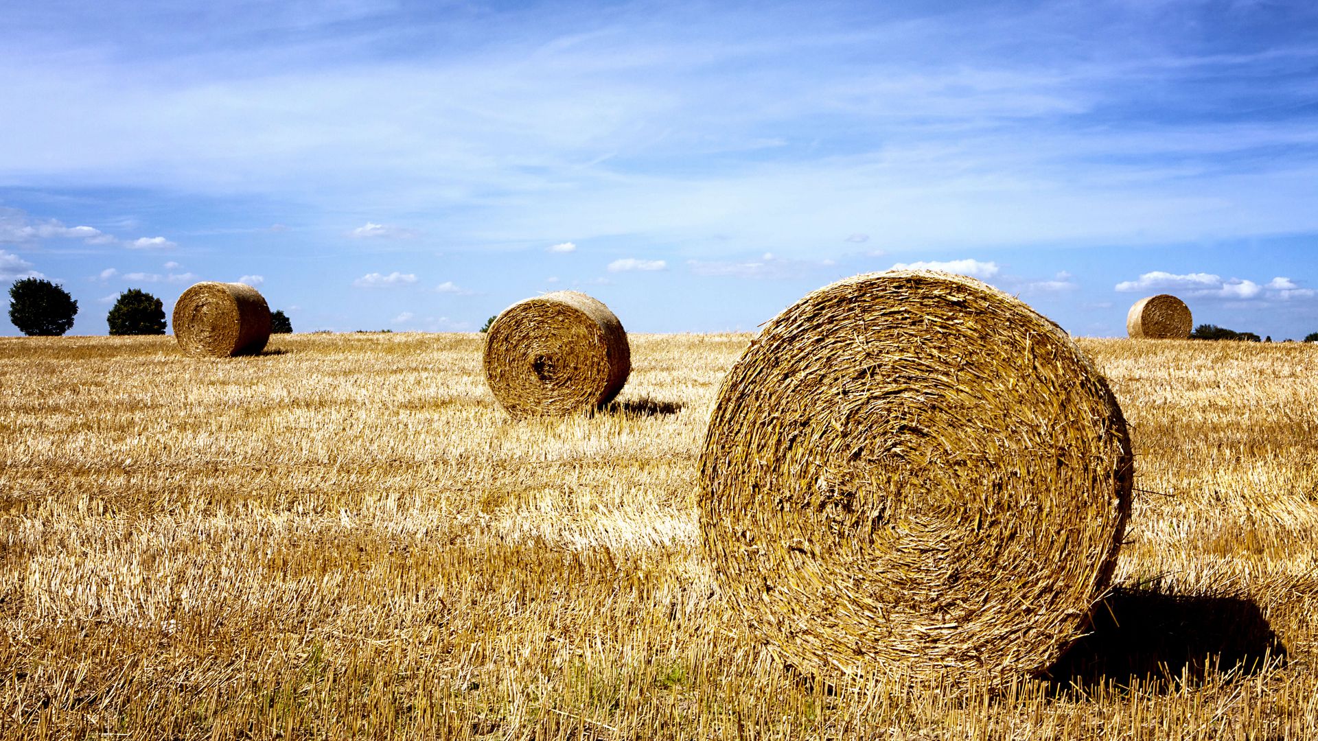 Vier Heuballen auf einem gedroschenen Feld unter blauem Himmel