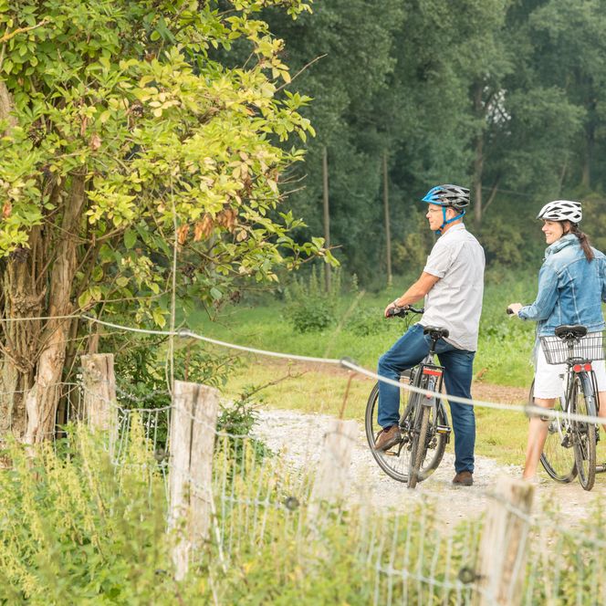 Zwei Erwachsene stoppen mit ihren beiden Fahrrädern an einer umzäunten Wiese in der Urdenbacher Kämpe auf dem NRW-Rheinradweg bei Monheim am Rhein