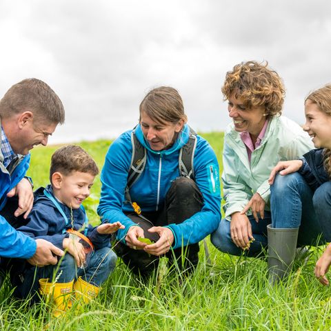 Familie untersucht auf einer Wiese zusammen mit der Leiterin der Naturentdecker aus Velbert ein Blatt