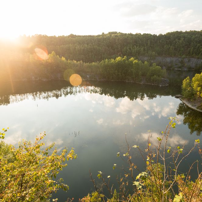 Sonnenangestrahltes Gewässer der von Bäumen umsäumten Schlupkothen im ehemaligen Steinbruch in Wülfrath