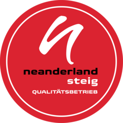 Rotes rundes Logo mit geschwungenen N