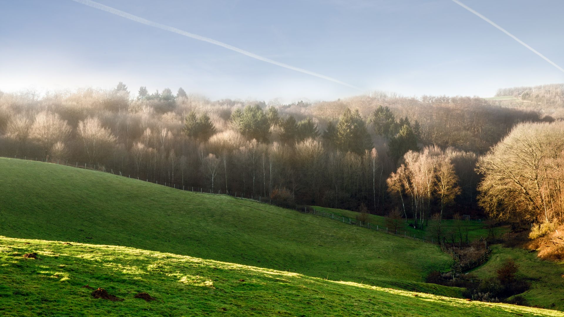 Blick ins Neandertal mit blauem Himmel