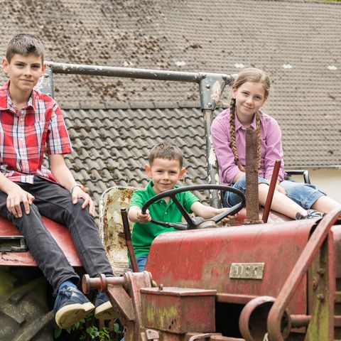 Üç çocuk bir çiftlikte kırmızı eski bir traktörün üzerinde oturuyor.