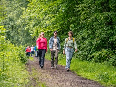 Three people are walking side by side at a brisk pace along a path through the forest.
