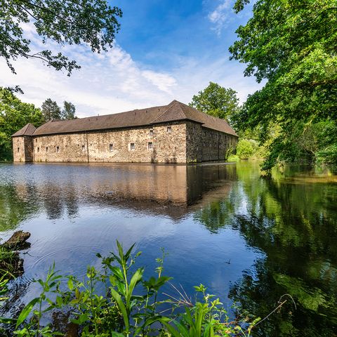 Wasserburg Haus Graven in Langenfeld umgeben von Bäumen und einem Gewässer