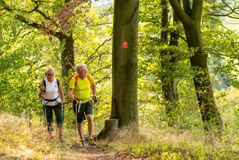 Frau und Mann wandern durch einen Wald vorbei an einem Baum mit Wegmarkierung des neanderland STEIGs