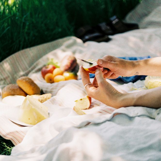 Picknickdecke mit Obst und Gemüse im Grünen