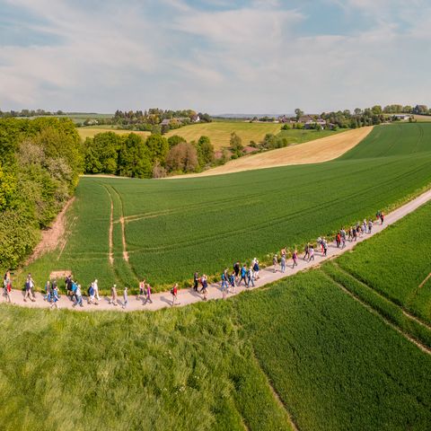 Eine Drohnenaufnahme zeigt die Teilnehmenden der Eröffnungswanderung der neanderland WANDERWOCHE 2022 auf einem langen Feldweg in Heiligenhaus