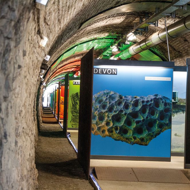 Plakat eines Fossils im Museum Zeittunnel Wülfrath