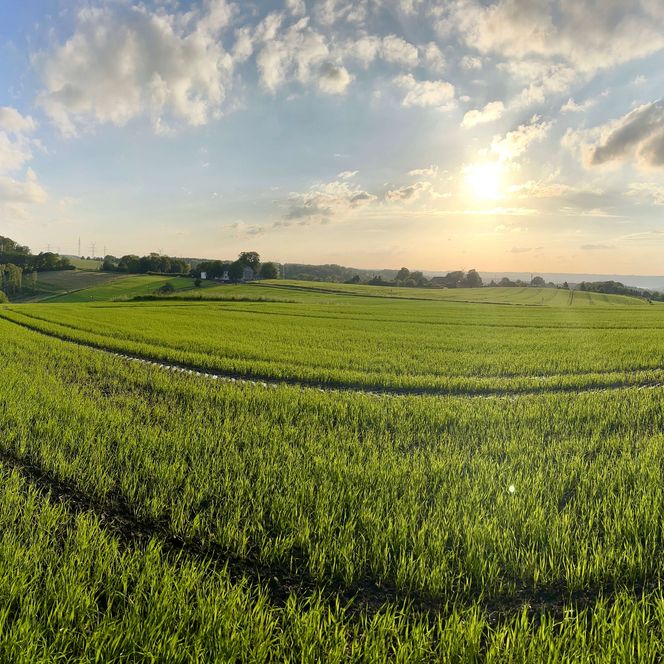 Wanderung mit Tourguide Michael Jendrysek
