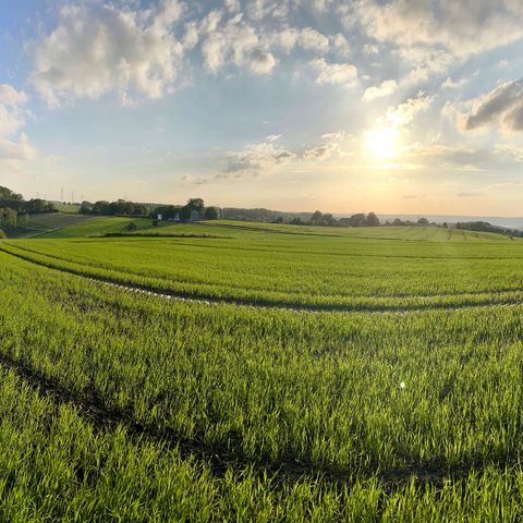 Wanderung mit Tourguide Michael Jendrysek