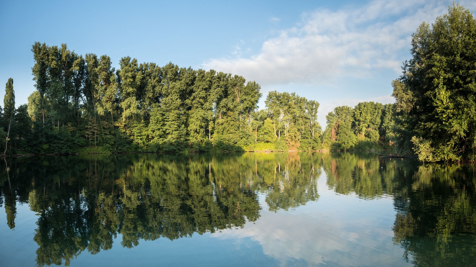 Elbsee in Hilden mit spiegelnden Bäumen im Hintergrund